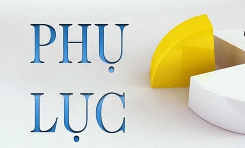 Phụ lục Kèm theo QDD630_ban hành Quy chế tổ chức hoạt động Phòng KHTC